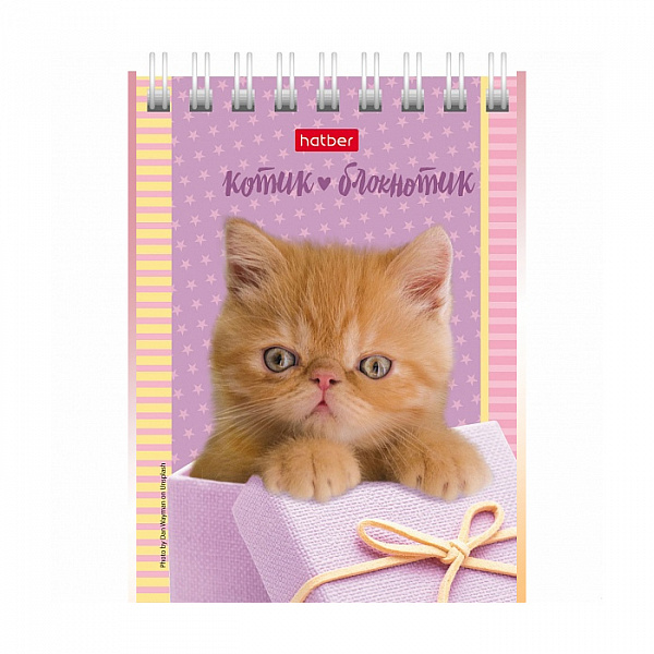БЛОКНОТ 40 Л, А7, КЛ, ХАТБЕР. КОТЯТА, НА ГРЕБНЕ /120/