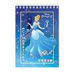 БЛОКНОТ 40 Л, А6, КЛ, ХАТБЕР. DISNEY. ПРИНЦЕССЫ, МЕЛ. ОБЛ. УФ-ЛАК, НА ГРЕБНЕ /6/96/