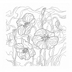 РАСКРАСКА 18 Л, A4, СЮЖЕТЫ ДЛЯ АКВАРЕЛИ. ЧУДЕСНЫЕ ЦВЕТЫ, ОТРЫВ. СКЛЕЙКА, ПОДЛОЖКА /6/24/