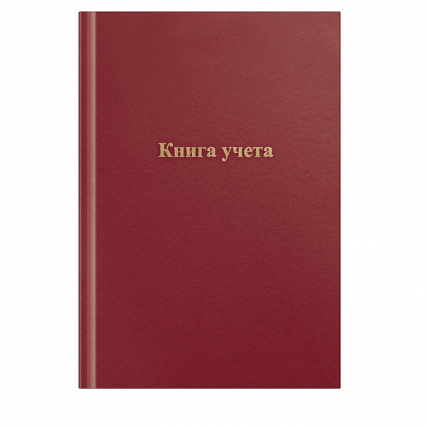 КНИГА УЧЕТА 96 Л, ЛИН, ОФСЕТ, Б/В /10/