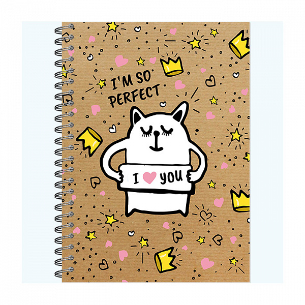 БЛОКНОТ-СКЕТЧБУК 60 Л, А5, FUNNY DOODLE, ЖЕСТКАЯ ОБЛ. МАТ. ЛАМ. НА ГРЕБНЕ /10/