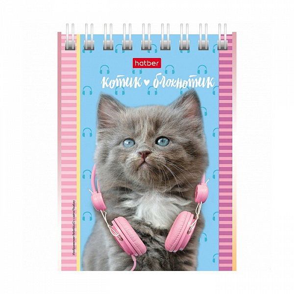 БЛОКНОТ 40 Л, А7, КЛ, ХАТБЕР. КОТЯТА, НА ГРЕБНЕ /120/
