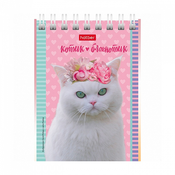 БЛОКНОТ 40 Л, А7, КЛ, ХАТБЕР. КОТЯТА, НА ГРЕБНЕ /120/