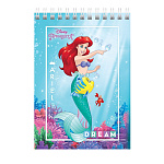 БЛОКНОТ 40 Л, А6, КЛ, ХАТБЕР. DISNEY. ПРИНЦЕССЫ, МЕЛ. ОБЛ. УФ-ЛАК, НА ГРЕБНЕ /6/96/