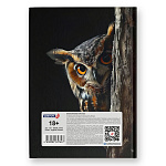 БЛОКНОТ-БИЗНЕС 64 Л, ЕВРОФОРМАТ, КЛ. ФРАНЦ. СВЕТОЧ. СОВА-МУДРАЯ ГОЛОВА, МАТ. ЛАМ. ВЫБ. ЛАК /4/24/