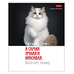 ТЕТРАДЬ 48 Л, А5, КЛ, ХАТБЕР, КОТОЮМОР, НА СКОБЕ /5/100/