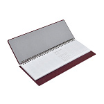 ПЛАНИНГ 2026 ГОД, SIDNEY NEBRASKA, БОРДОВЫЙ /20/