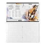 ТЕТРАДЬ 18 Л, КЛ. ERICHKRAUSE WILD MANE, MIX-PACK /10/200/