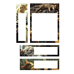 закладки 70*52 мм/20*70 мм/70*20 мм erichkrause big city cats, 80л, с/кл, бумага, ассорти /24/432/