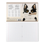 ТЕТРАДЬ 12 Л, КЛ. ERICHKRAUSE NOTE FRIENDS, MIX-PACK /10/280/ 