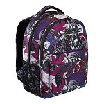Ученический рюкзак ErichKrause® EasyLine® с двумя отделениями 20L Pomegranate