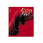 ТЕТРАДЬ 48 Л, А5, КЛ. ERICHKRAUSE SCARLET, ЛАМ. SOFT-TOUCH+ВЫБ. УФ-ЛАК, MIX-PACK /5/100/