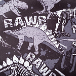 Мешок для обуви ErichKrause 500x410мм Dinosaur Park