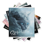 ТЕТРАДЬ 48 Л, А5, КЛ. ERICHKRAUSE CLOUDY CARS, МАТ. ЛАМ. MIX-PACK /5/100/