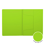 ПАПКА НА РЕЗИНКАХ ПЛАСТ, A4, ERICH KRAUSE REEF PHRASES, 0,6 ММ, ЛАЙМ /4/96/ 