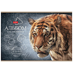 АЛЬБОМ Д/РИС. 48 Л. А4, ХАТБЕР. ДИКИЙ МИР, МАТ. ЛАМ. ТИСН. НА СКОБЕ /6/30/