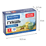 КРАСКИ ГУАШ. 06 ЦВ. 20 МЛ. BRAUBERG ART ПЕЙЗАЖ /24/