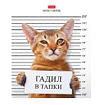 ТЕТРАДЬ 48 Л, А5, КЛ, ХАТБЕР, КОТ-ОБОРМОТ, НА СКОБЕ /10/100/