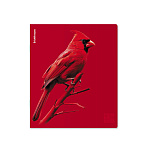 ТЕТРАДЬ 48 Л, А5, КЛ. ERICHKRAUSE SCARLET, ЛАМ. SOFT-TOUCH+ВЫБ. УФ-ЛАК, MIX-PACK /5/100/