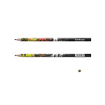 КАРАНДАШ Ч/Г ERICHKRAUSE ЗАРЯД АДРЕНАЛИНА, HB, ПЛАСТ, АССОРТИ, ТУБУС /42/336/2688/