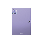 ПАПКА НА 04 ОТДЕЛА, НА КНОПКЕ, ERICHKRAUSE MATT MANGA, 0,6 ММ, АССОРТИ /4/64/ РФ