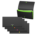 ПАПКА НА 13 ОТДЕЛОВ, ERICHKRAUSE MATT ACCENT, 0,7 ММ, CHECK SIZE, АССОРТИ /4/120/ РФ