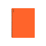 ПАПКА С ФАЙЛАМИ НА 20 КАРМАНОВ. ERICHKRAUSE SOFT CARIBBEAN, 0,6 ММ, АССОРТИ, НА СПИРАЛИ /3/84/ РФ