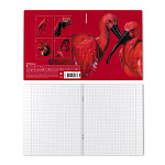 ТЕТРАДЬ 48 Л, А5, КЛ. ERICHKRAUSE SCARLET, ЛАМ. SOFT-TOUCH+ВЫБ. УФ-ЛАК, MIX-PACK /5/100/