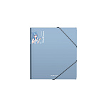 ПАПКА ДЛЯ ТЕТРАДЕЙ, А5+, ERICHKRAUSE MATT MANGA, 0,6 ММ, АССОРТИ, НА РЕЗИНКАХ /4/72/ РФ