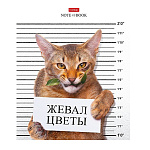 ТЕТРАДЬ 48 Л, А5, КЛ, ХАТБЕР, КОТ-ОБОРМОТ, НА СКОБЕ /10/100/