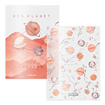 Набор из 4 папок-уголков пластиковых ErichKrause® Martian Girl, A4, ассорти