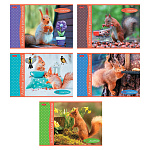 АЛЬБОМ Д/РИС. 32 Л. А4, ХАТБЕР. БЕЛОЧКА ПРИШЛА, НА СКОБЕ /5/45/