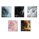 ТЕТРАДЬ 48 Л, А5, КЛ. ERICHKRAUSE CLOUDY CARS, МАТ. ЛАМ. MIX-PACK /5/100/