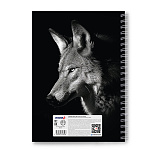 ТЕТРАДЬ 80 Л, А4, КЛ. СВЕТОЧ. ВОЛК, ТВ. ОБЛ. МАТ. ЛАМ, НА ГРЕБНЕ /2/20/