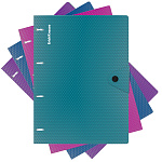 ТЕТРАДЬ 80 Л, А4, КЛ. ERICHKRAUSE GLANCE VIVID, ПЛАСТ. ОБЛ. НА КОЛЬЦАХ, НА КНОПКЕ /16/ 