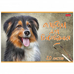 АЛЬБОМ Д/РИС. 20 Л. А4, ХАТБЕР. НАШИ ВЕРНЫЕ ДРУЗЬЯ, ТИСН. НА СКОБЕ /12/60/