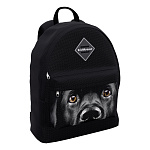 Рюкзак ErichKrause EasyLine® 17L Black Dog