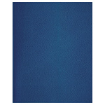 ТЕТРАДЬ 96 Л, А5, КЛ. BG, БУМВИНИЛ, СИНИЙ /30/РФ