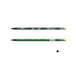 КАРАНДАШ Ч/Г ERICHKRAUSE GARDEN PET, HB, ПЛАСТ, ТРЕХГРАН. С ЛАСТИКОМ, АССОРТИ, ТУБУС /42/336/2688/