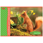 АЛЬБОМ Д/РИС. 32 Л. А4, ХАТБЕР. БЕЛОЧКА ПРИШЛА, НА СКОБЕ /5/45/