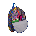 Рюкзак ErichKrause® EasyLine® 17L Art Sun