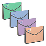 КОНВЕРТ ПЛАСТ. НА КНОПКЕ, А5+, ЕRICHКRAUSE MATT PASTEL BLOOM, 0.6 ММ, ОБШИТ. НЕПРОЗР. АССОРТИ /4/48/