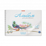 АЛЬБОМ Д/РИС. 40 Л, А4, ERICHKRAUSE BIRDS, ПЛАСТ. ОБЛ. НА СПИРАЛИ /2/20/ РФ