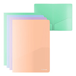 УГОЛОК А4. ПЛАСТ. ERICHKRAUSE MATT PASTEL BLOOM, 0,18 ММ, 2 КАРМАНА, НЕПРОЗР. АССОРТИ /12/324/ РФ