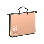 ПАПКА ДЛЯ ТЕТРАДЕЙ, А4, ERICHKRAUSE MATT PASTEL, 0,6 ММ, МОЛНИЯ СВЕРХУ, С РУЧКАМИ, АССОРТИ /4/36/ РФ