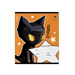 ТЕТРАДЬ 12 Л, КЛ. ERICHKRAUSE CATPIX, MIX-PACK /10/280/ 