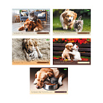 АЛЬБОМ Д/РИС. 24 Л. А4, ХАТБЕР ЭКО. ХВОСТАТЫЕ ИСТОРИИ, НА СКОБЕ /5/40/