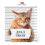 ТЕТРАДЬ 48 Л, А5, КЛ, ХАТБЕР, КОТ-ОБОРМОТ, НА СКОБЕ /10/100/