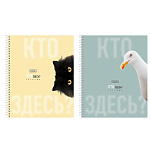 ТЕТРАДЬ 96 Л, А5, КЛ, ХАТБЕР. КТО ЗДЕСЬ? МАТ. ЛАМ. НА СПИРАЛИ /2/48/