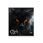 ТЕТРАДЬ 48 Л, А5, КЛ. ERICHKRAUSE CLOUDY CARS, МАТ. ЛАМ. MIX-PACK /5/100/